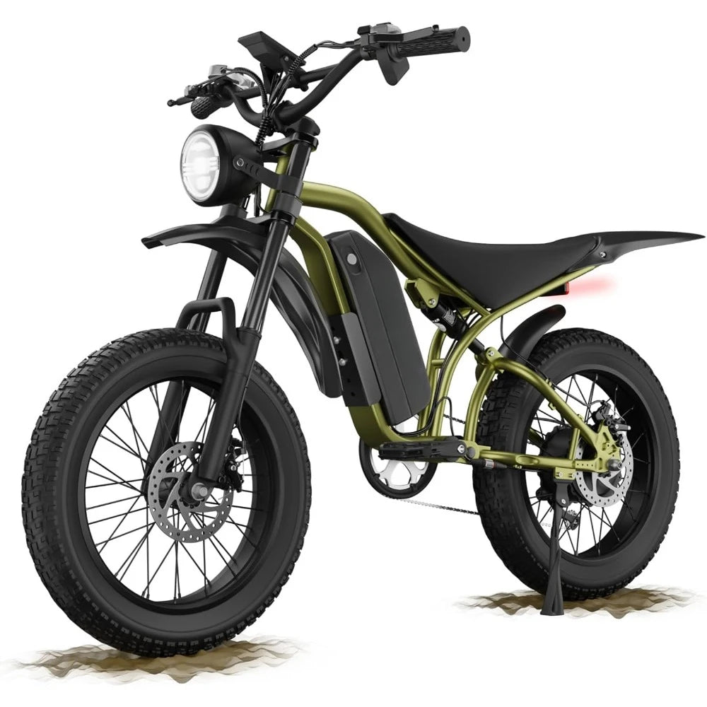 Electric Bike for Adults, Peak 1200W Motor, 20" Fat Tire, Dual Disc Brakes for Off-Road and City Riding, 7-Speed Bike