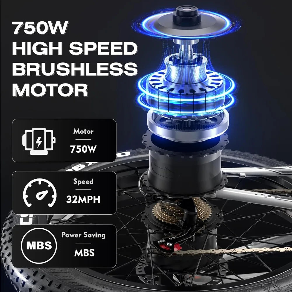 Adults Electric Bike 750W,Dual Hydraulic Disc Brakes Full Suspension,26”Fat Tire  Beach Snow Mountain Bike