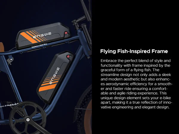 Engwe M20 2.0 All-terrian Electric bike Dual battery Full Suspension Trail Mountain Bicycle Ebike 750Watt Motorbike Fast