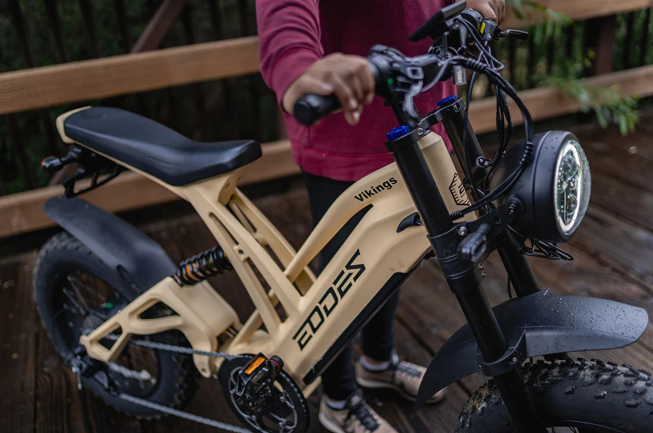 1000W mountain adult electric bicycle 48V20AH motorcycle style electric bicycle 20 inch dual oil disc off-road electric bicycle